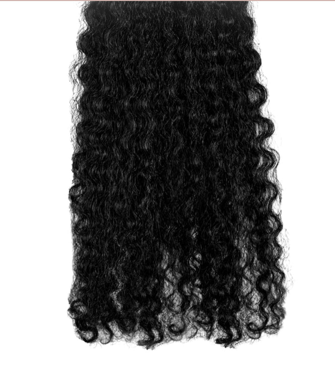 BURMESE CURLY CLIP-INS